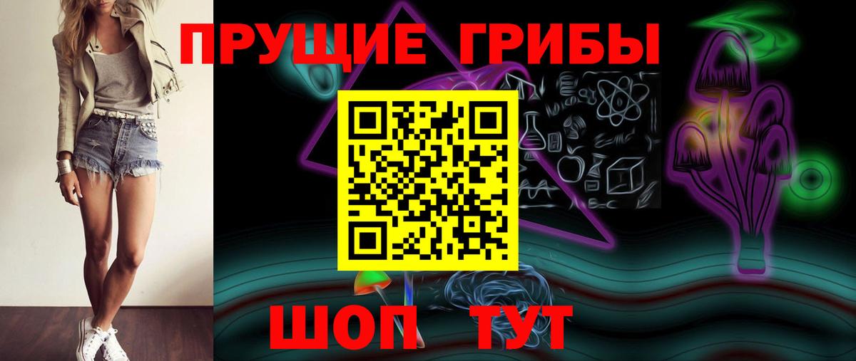 Усть-Джегута  Псилоцибиновые грибы Psilocybine cubensis  Псилоцибиновые грибы Cubensis  Вход с VPN 